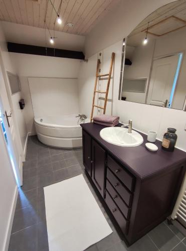 une salle de bain avec un lavabo, des toilettes et un miroir dans l'établissement Le Chai de gandil, à Saint-Vincent-de-Cosse