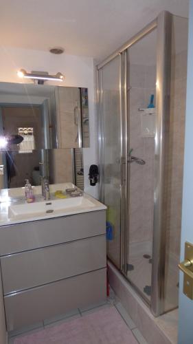 une salle de bain avec un lavabo et une douche dans l'établissement Pavillon T3 Mezzanine, La Baie des Oliviers III, Narbonne Plage, à Narbonne-Plage