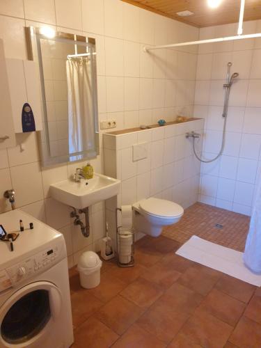 a bathroom with a toilet sink and a washing machine at Bauernhof Diestel in Oldau