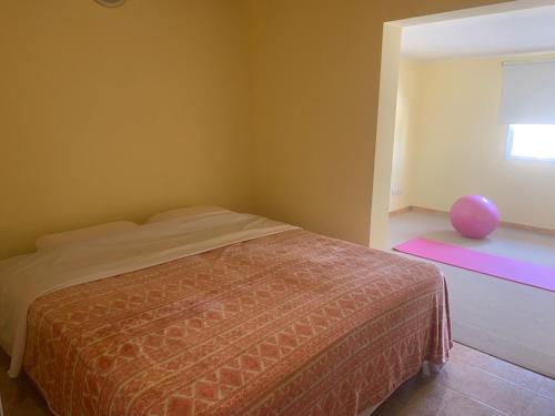 a bedroom with a bed and a pink ball on a window at Duplex Marea Baja in Playa Unión