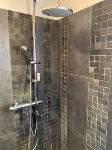 La salle de bains est pourvue d'une douche avec un pommeau de douche. dans l'établissement Les Moineaux, à Rustrel