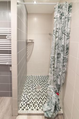 uma casa de banho com um chuveiro com uma cortina de chuveiro preto e branco em Studio Green Groupama Lyon , Eurexpo Aréna em Meyzieu