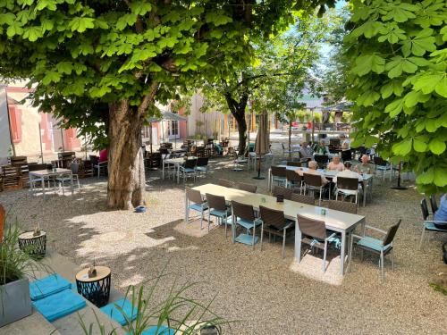 a group of tables and chairs under a tree at Zum Rayers Café-Restaurant & Boutique-Hotel in Oberrotweil