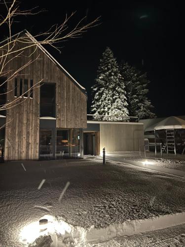 a building at night with a snow covered tree at Rezidence Za Vodou - Ledňáček in Cerny Dul