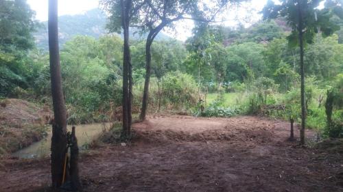 un campo de tierra en un bosque con árboles en Took Took Raju Homestay, 