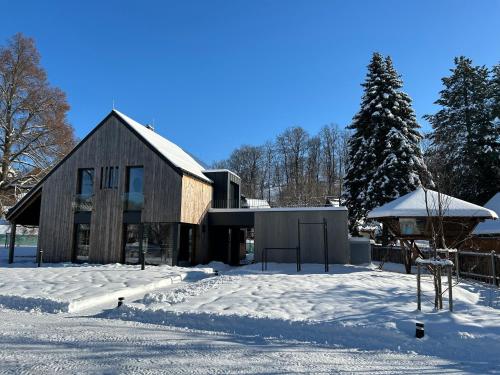 a large wooden building in the snow at Rezidence Za Vodou - Ledňáček in Cerny Dul