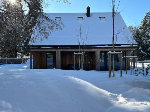 a house covered in snow with a snow covered yard at Rezidence Za Vodou - Ledňáček in Cerny Dul
