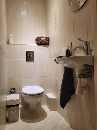 łazienka z toaletą i umywalką w obiekcie Przytulne mieszkanie Wola Duchacka w Krakowie