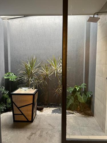 a courtyard with potted plants in a building at Hotel Suites Lounge La Viga in Cali
