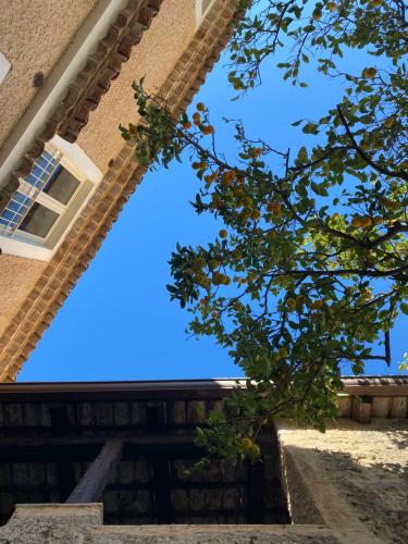a tree in front of a building with a blue sky at La Locanda del Curato Rooms in Lentiscosa