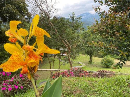 a yellow and orange flower in a garden at Green Bamboo Lodge in San Francisco de Borja