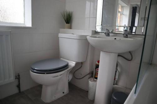 a bathroom with a toilet and a sink at Charming 3Bed Home in High Barnet in Barnet