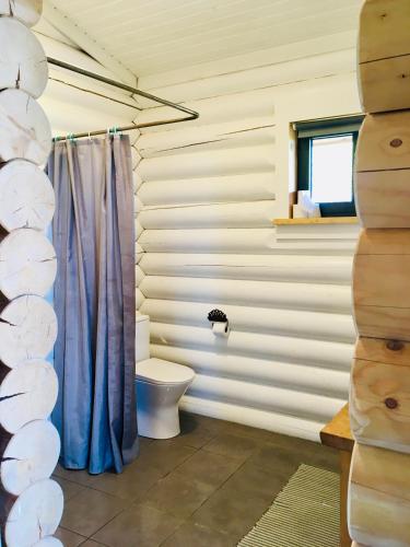 a bathroom with a toilet and a blue shower curtain at Private Mountain Log Cabin with amazing panoramic sunset views at small scale nature resort in Cabeceiras de Basto