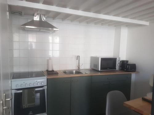eine Küche mit einer Spüle und einer Mikrowelle in der Unterkunft Le Studio de la Seine in Elbeuf