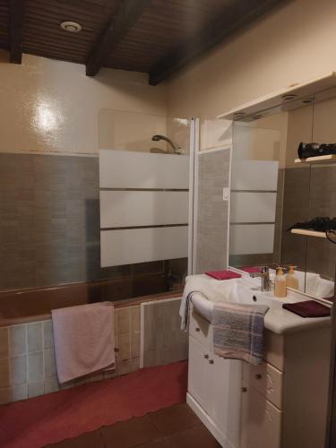une salle de bain avec un lavabo et une baignoire dans l'établissement Sci la MIJOTIERE, à Fourques-sur-Garonne