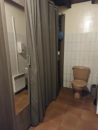 La salle de bains est pourvue de toilettes et d'une douche avec rideau de douche. dans l'établissement Sci la MIJOTIERE, à Fourques-sur-Garonne