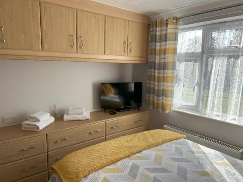 um quarto com uma cama, uma televisão e uma janela em Delightful self-contained Annexe close to airport em Norwich