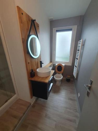 a bathroom with a sink and a toilet and a mirror at Charmant appartement avec vue mer in Cherbourg en Cotentin
