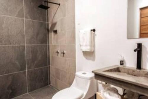 a bathroom with a shower and a toilet and a sink at La Fábrica #2 La Constancia in Valle de Bravo