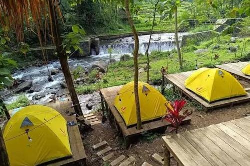 a group of three yellow tents in front of a river at Nyiak Tanjuang camp area 