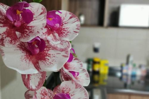 a bunch of white and purple flowers in a kitchen at Dpto en Altozano 34 in Morelia