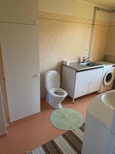 La petite salle de bains est pourvue de toilettes et d'un lavabo. dans l'établissement Vacker villa i Fröseke, à Fröseke