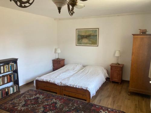a bedroom with a bed and two night stands and a book shelf at Főnix Ház in Pécsely
