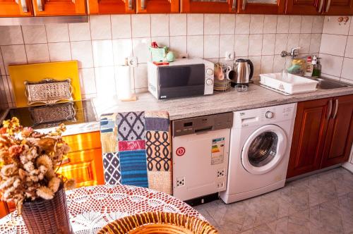 cocina con lavadora y microondas en Vilin raj 