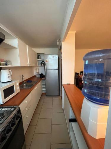eine Küche mit einem Kühlschrank und einem Container auf der Theke in der Unterkunft Departamento Santa Beatriz,Huasco in Huasco