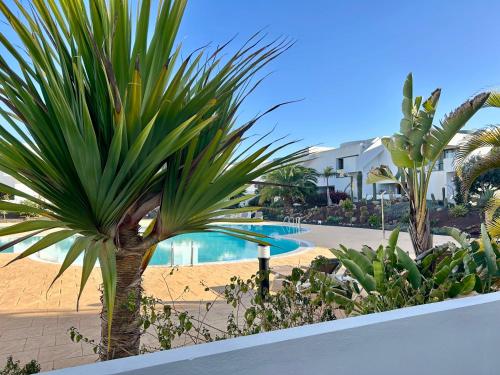 a resort with a palm tree and a swimming pool at Fuerte Confort in La Oliva