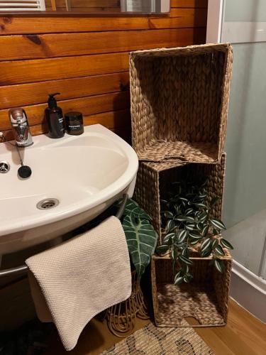 ein Badezimmer mit einem Waschbecken und einem WC mit Körben in der Unterkunft ChillHouse in Loučná nad Desnou