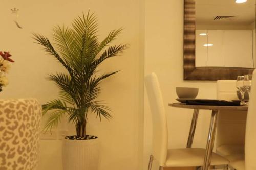 a palm tree in a pot next to a table at Amber Glow 2BR Apartment Al Raha in Abu Dhabi