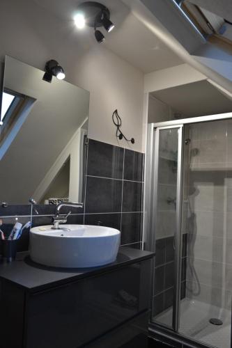 une salle de bain avec un lavabo, un miroir et une douche dans l'établissement Gîte familial 6 personnes, à Kintzheim