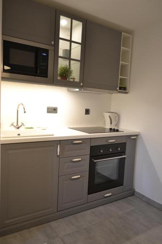 - une cuisine avec des placards gris, un évier et une cuisinière dans l'établissement Gîte familial 6 personnes, à Kintzheim