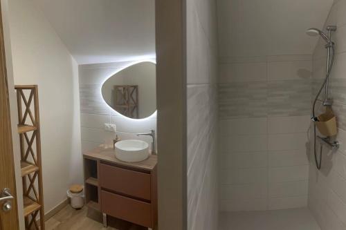 une salle de bain avec un lavabo et un miroir dans l'établissement Gîte 5 personnes le bas du bois, à Moitron-sur-Sarthe
