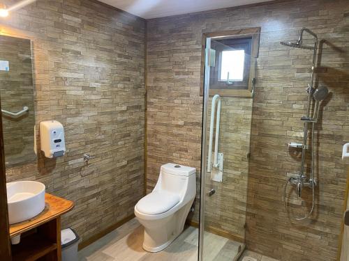 a bathroom with a shower and a toilet and a sink at Hostal Rama Fueguina in Teodoro Schmidt
