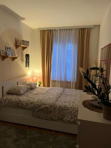 a bedroom with a bed and a large window at Apartman Aurora in Zvezdara