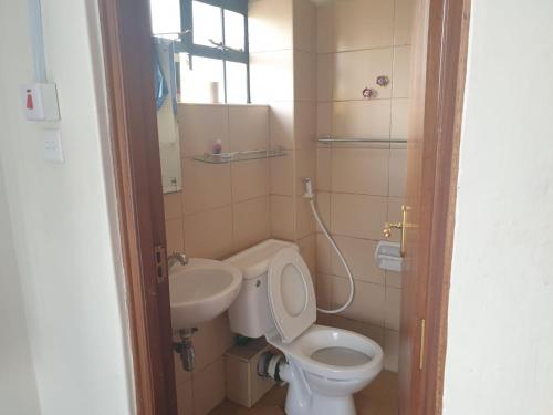 a small bathroom with a toilet and a sink at Mvuli suites studio in Nairobi