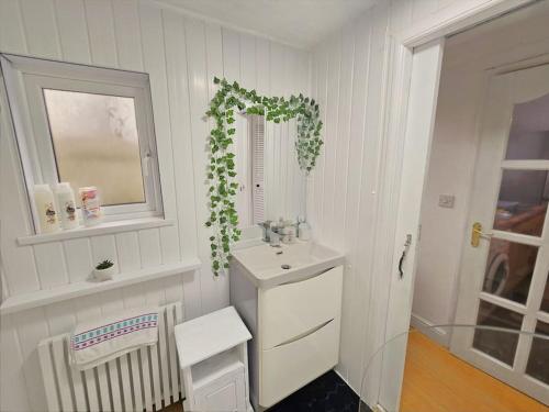 uma casa de banho branca com um lavatório e um espelho em Heartlands House, BullRing, Blues Ground, NEC, BHX em Birmingham