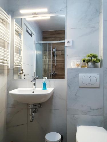 a white bathroom with a sink and a toilet at APARTMAN 52 - Privatni parking za goste in Novi Sad