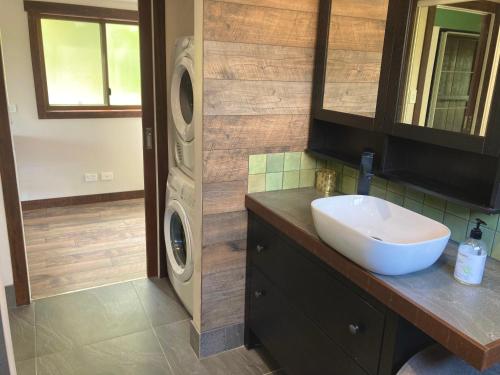 a bathroom with a sink and a washing machine at Beautifully Elevated Treehouse Apartment in Buderim