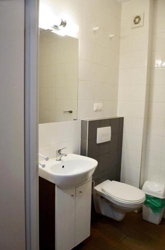 a bathroom with a sink and a toilet and a mirror at Marina Boszkowo in Boszkowo-Letnisko