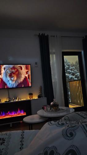 a living room with a tv and a fire place at Apartmani Belle Vue Zlatibor in Zlatibor