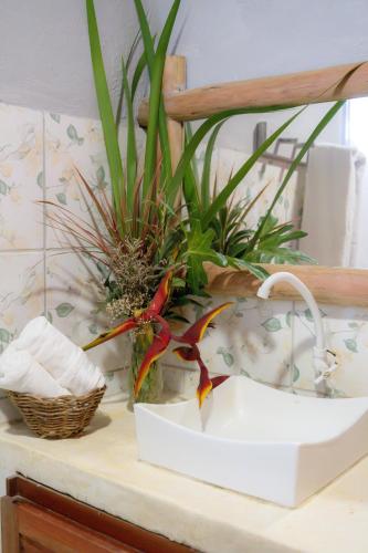 a bird sitting on top of a counter with plants at Casa da Cosmira in Trancoso