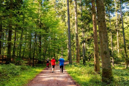 a group of people walking down a trail in the woods at Vital- und Wellnesshotel Albblick in Waldachtal