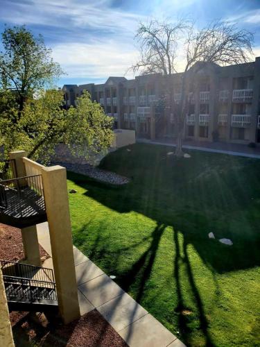 widok na trawnik z budynkiem w tle w obiekcie Mi Casa es su Casa w mieście Tucson