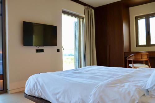 a bedroom with a bed with a television on the wall at Amphitheatro Boutique Hotel in Meganisi