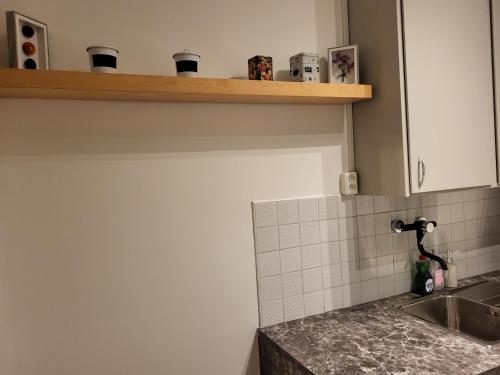 een keuken met een wastafel en een aanrecht bij Sahlin - Ängelholm in Ängelholm