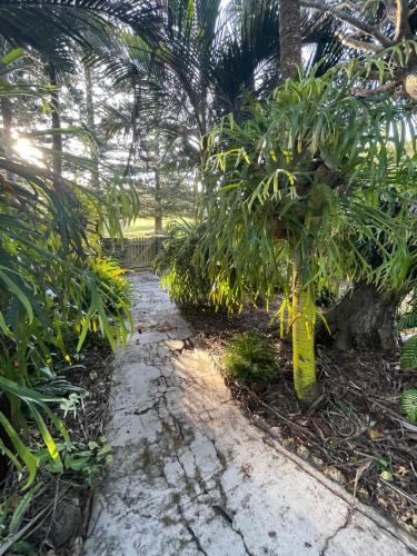 a path through a garden with palm trees at Watermill Beach House Estate in Kingston
