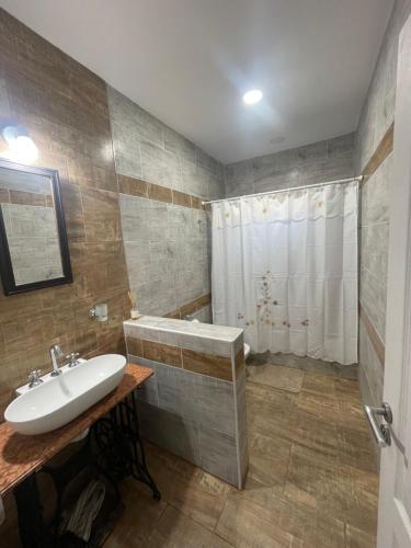 La salle de bains est pourvue d'un lavabo et d'une douche. dans l'établissement Casa Curutchet, à Cañuelas
